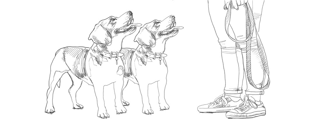 Dogs pencil sketch walks